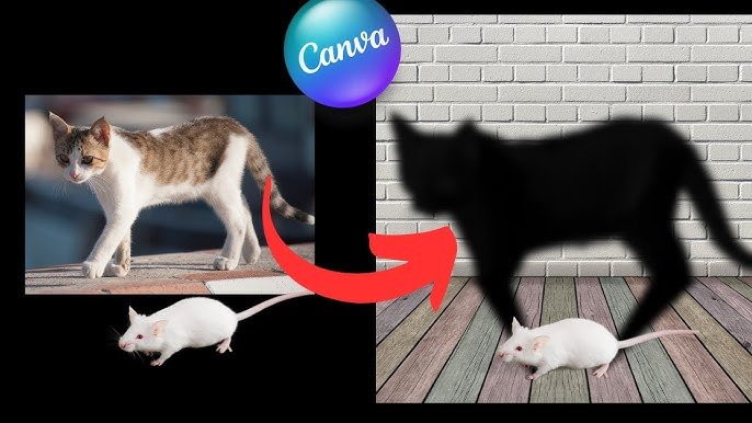 Advanced Shadow Techniques in Canva