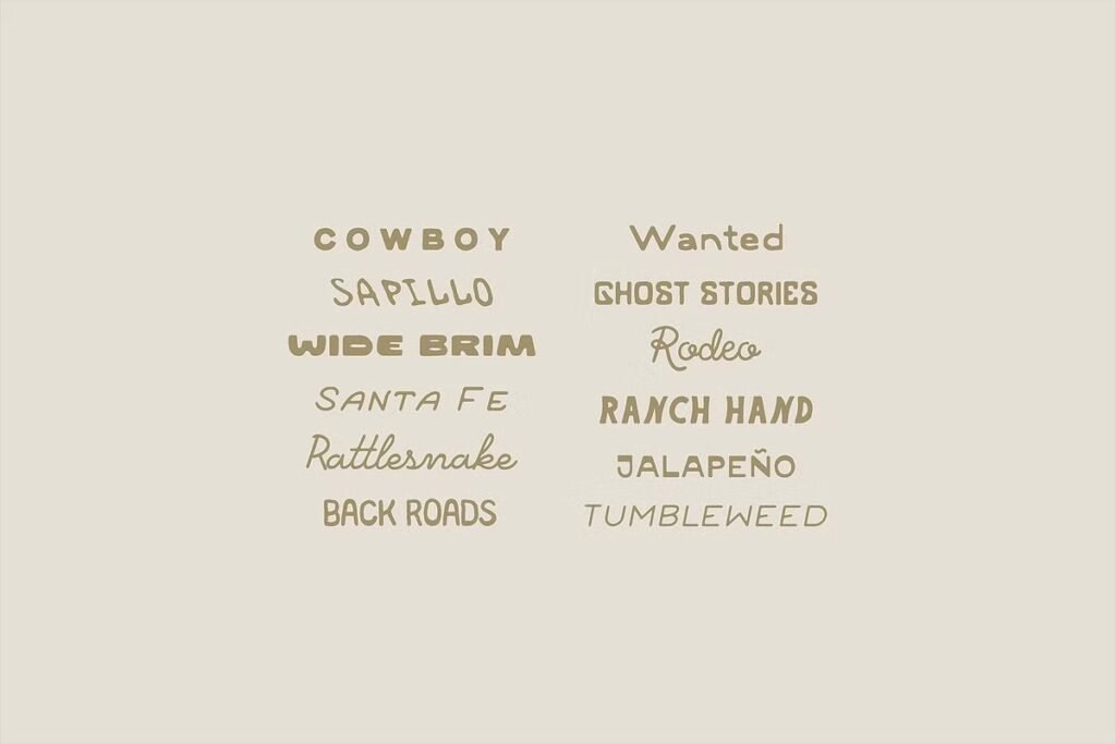 Popular Western Font Combinations