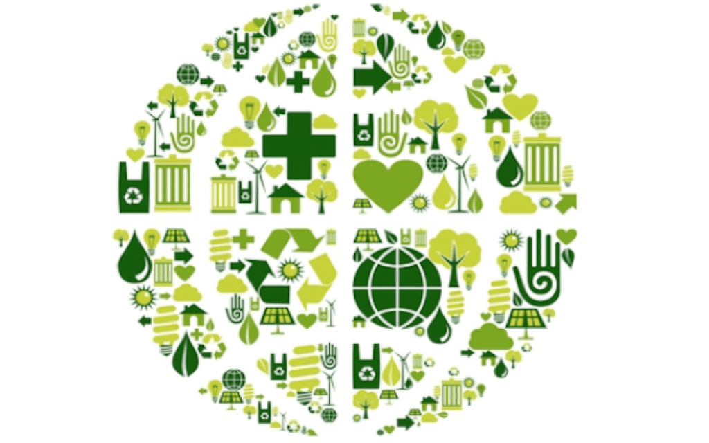 Core Principles of Sustainable Branding