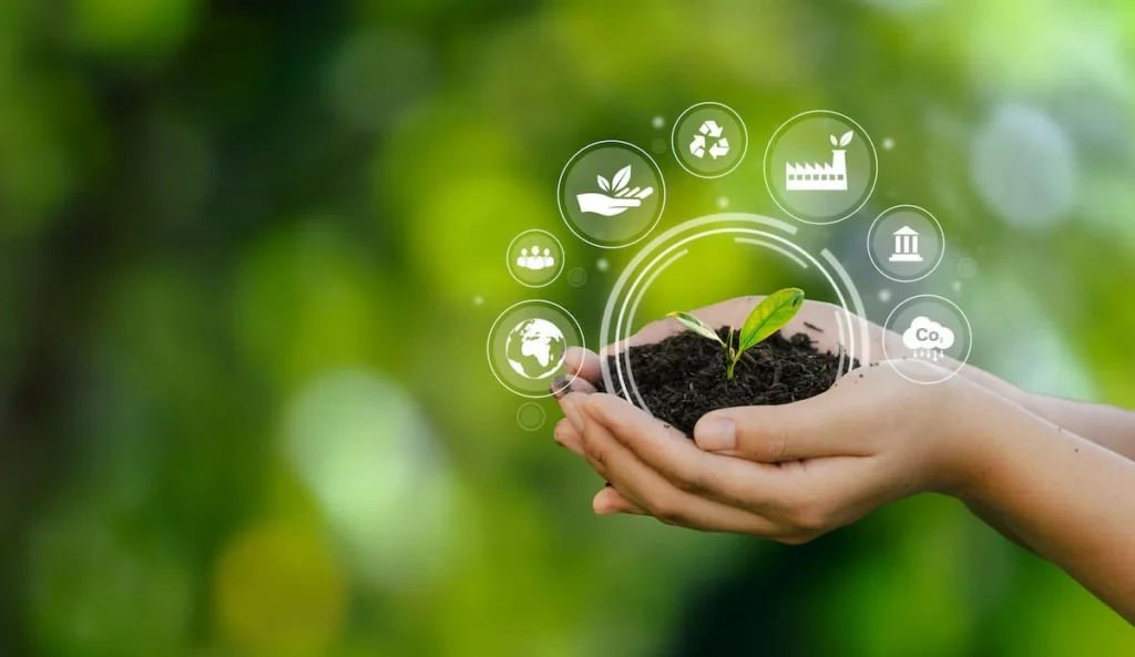 Strategies For Implementing Sustainable Branding