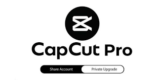 Who Should Upgrade to CapCut Pro?