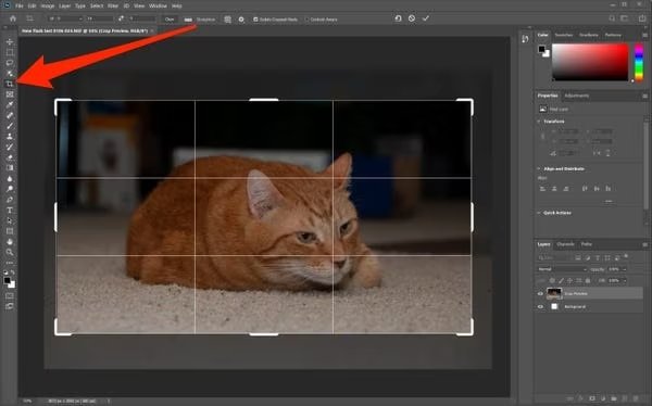 Troubleshooting When You Add an Image In Photoshop
