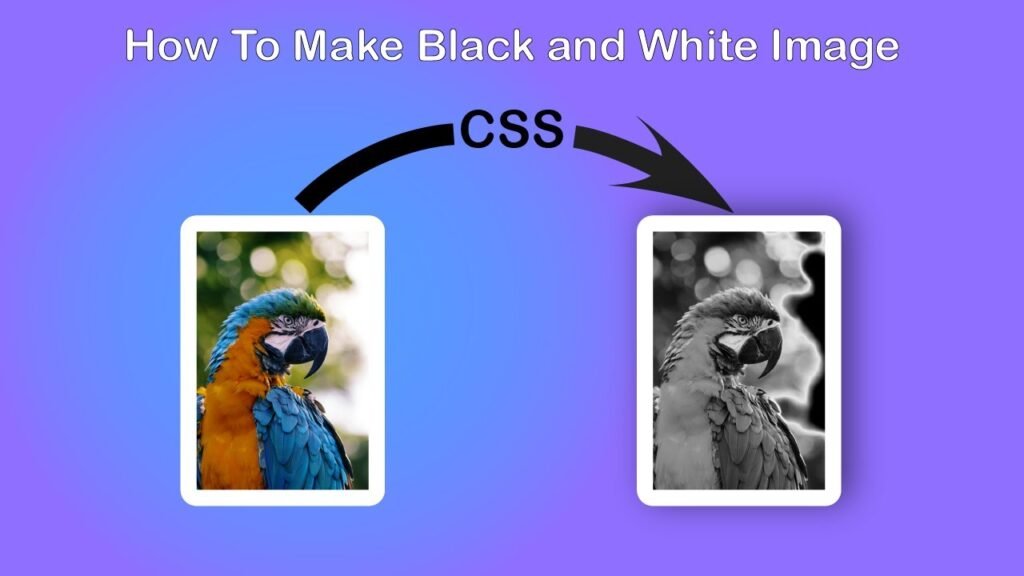How to Make an Image Black and White with CSS?