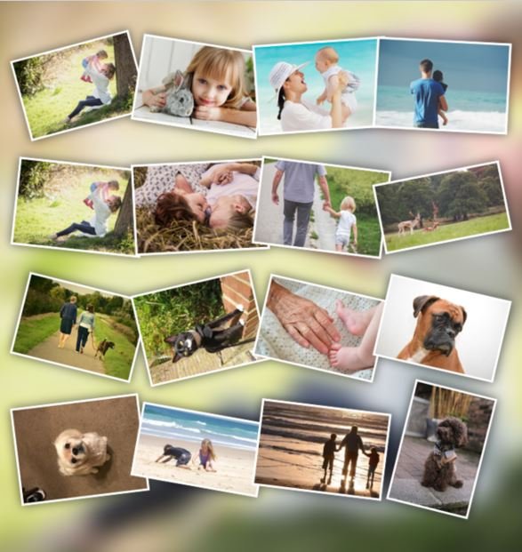 What You Need to Know Before You Learn How to Make A Collage?