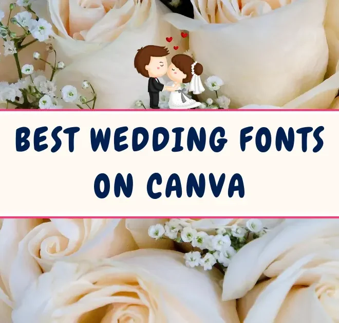 Best Modern Canva Wedding Fonts For A Minimalist Vibe