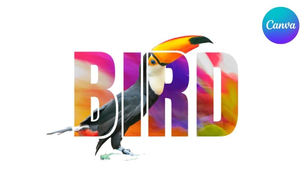 Why Typography Can Make Or Break Your Canva Design?