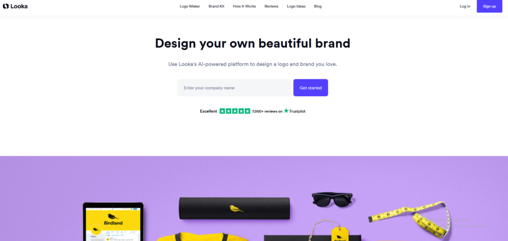 Looka business name entry screen